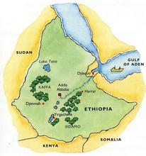 \"u=3958882124,1089908800&fm=21&gp=0.jpg"