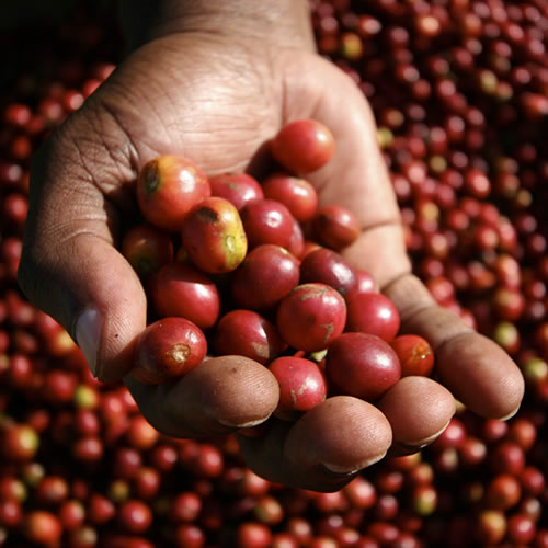 PAPUA NEW GUINEA  AA Sigri